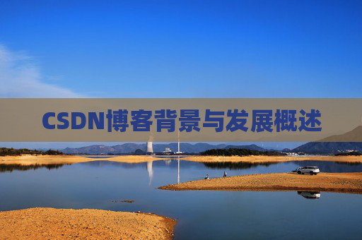 CSDN博客背景与发展概述