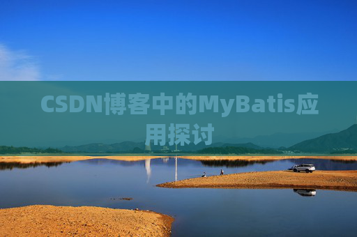 CSDN博客中的MyBatis应用探讨